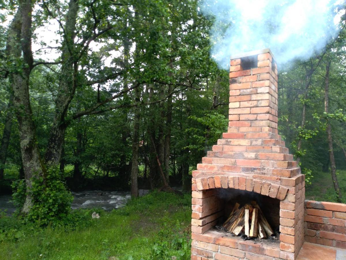 Chalet By The River Valiug Exterior photo