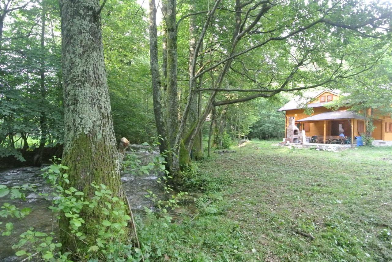 Chalet By The River Valiug Exterior photo