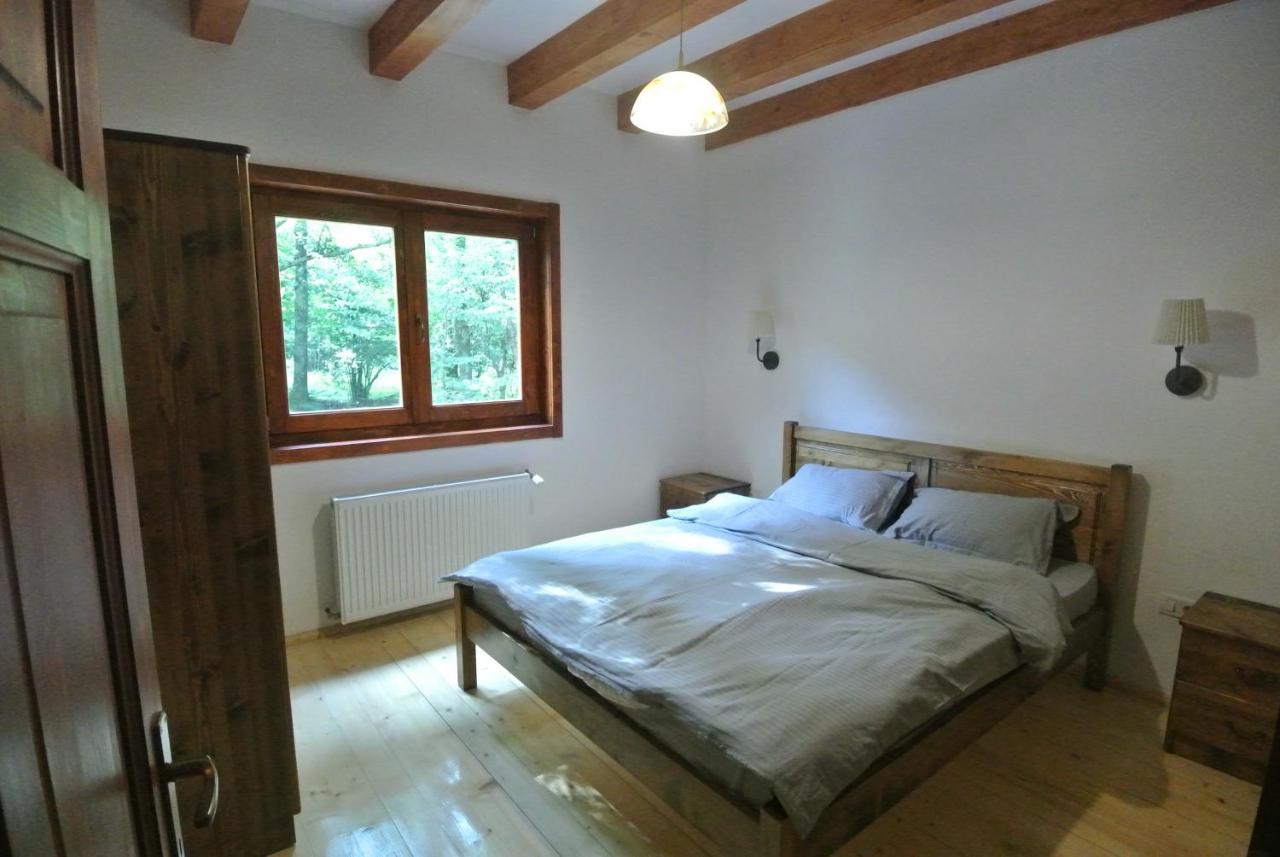 Chalet By The River Valiug Exterior photo